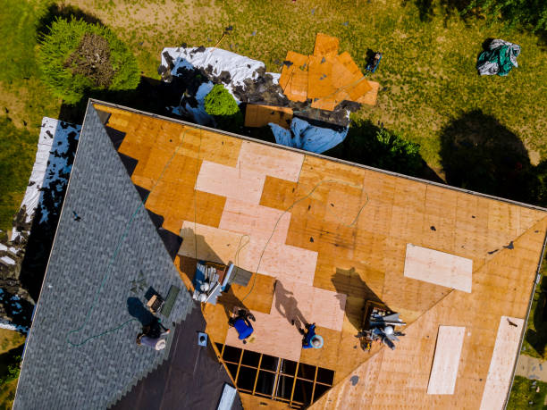 Best Roof Maintenance Services  in Rockwell Place, TX